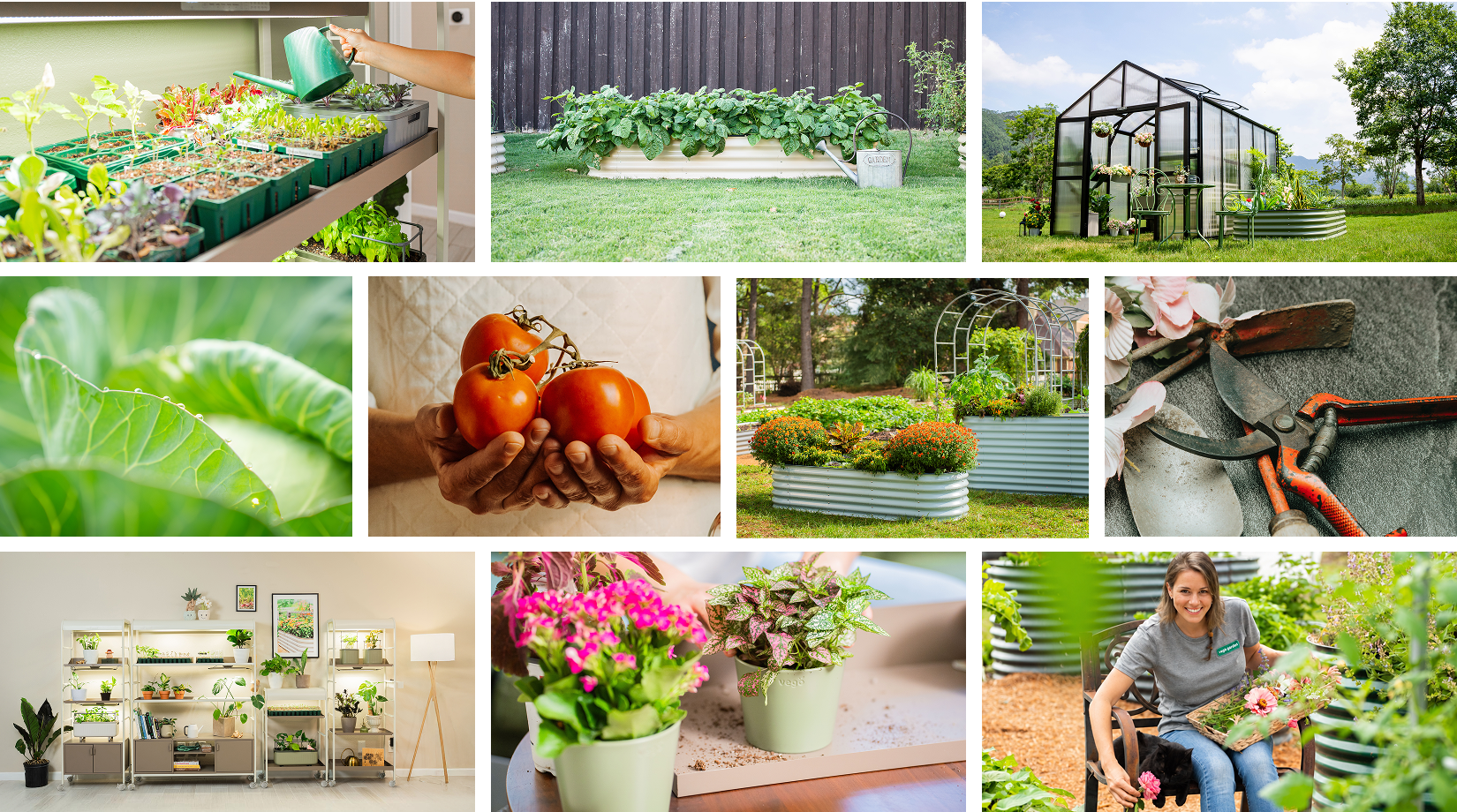 A collage of Vego Garden lifestyle, product, greenhouse, and gardening photography