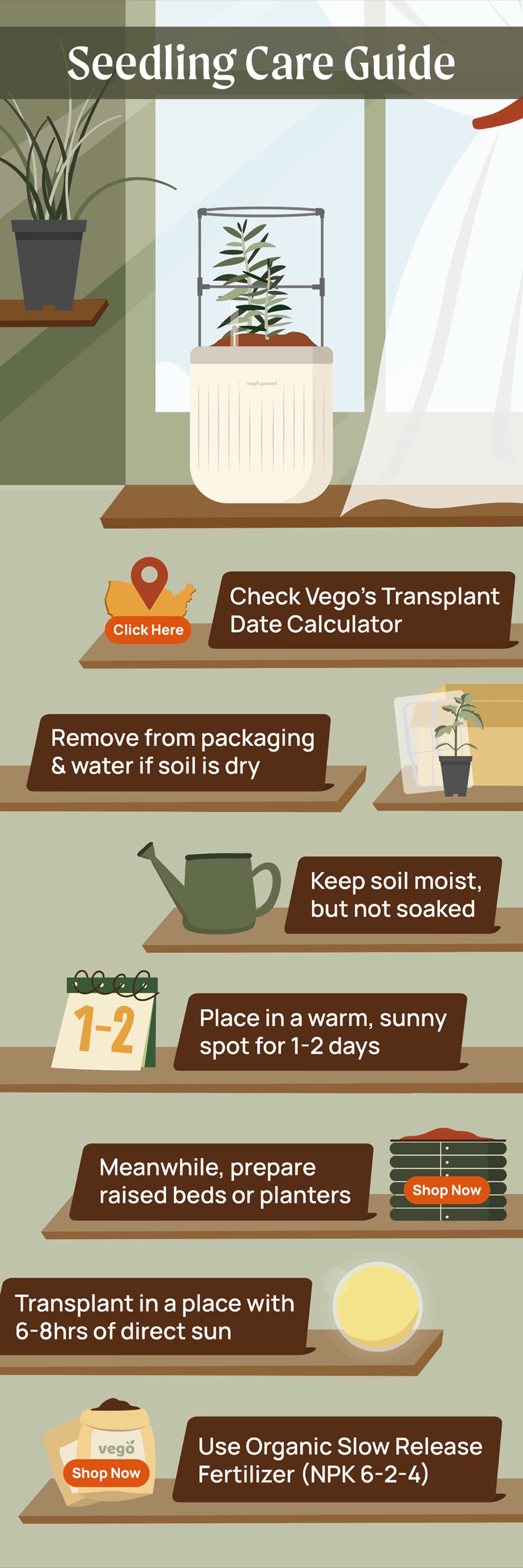 Vego Garden seedling care guide email infographic